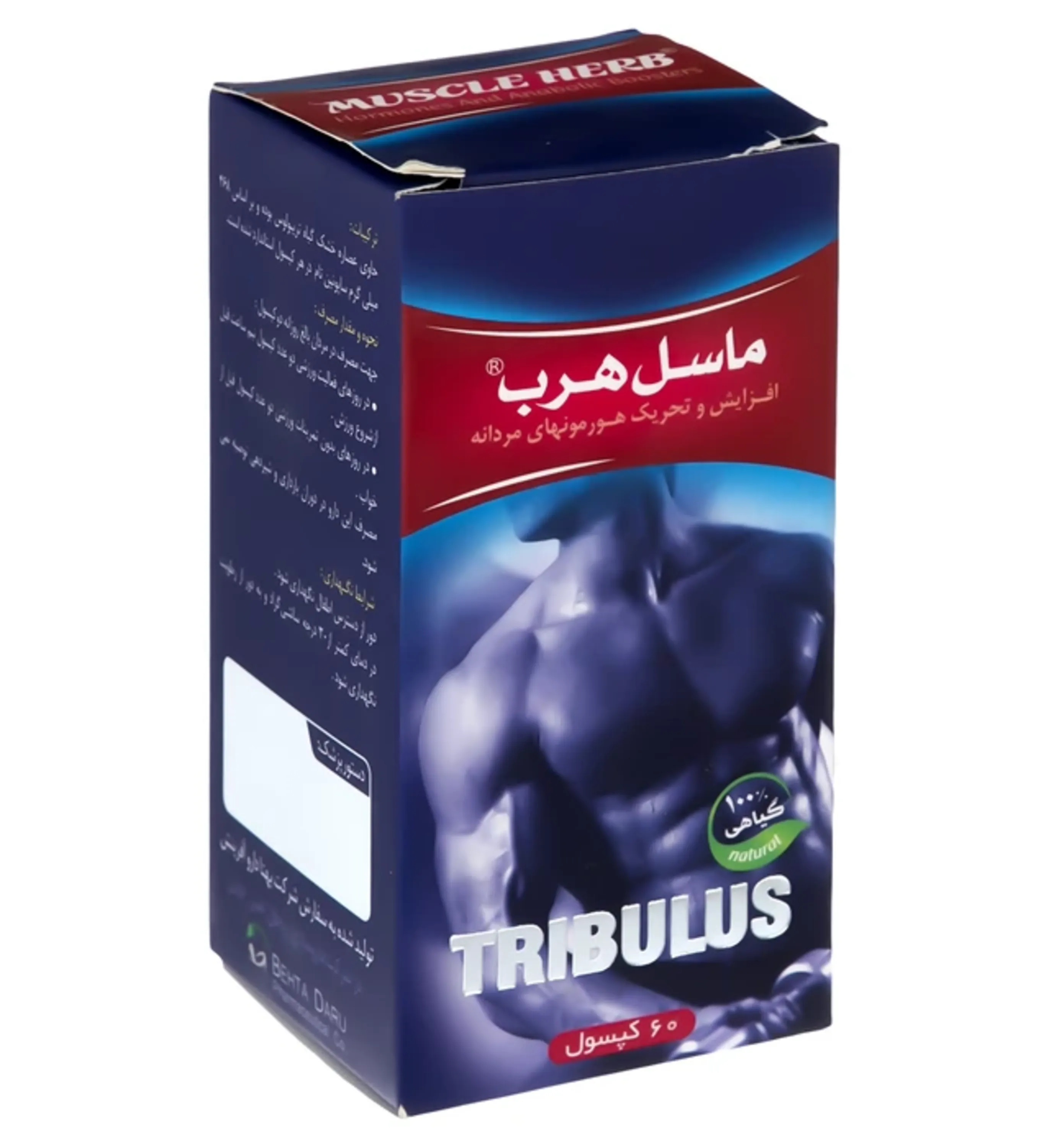 کپسول ماسل هرب تریبولوس 2000 میلی گرم 60 عددی